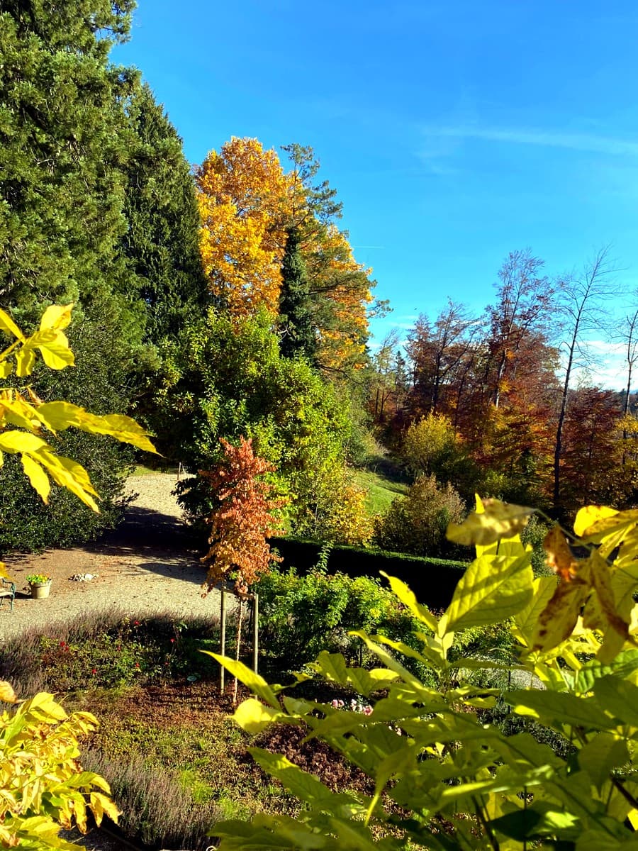 Dettagli urbani di Winterthur